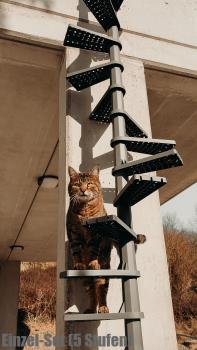 FeliStair Katzentreppe montiert, mit Katze auf den Stufen